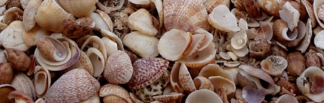 improve self esteem & confidence personal development work-life balance with life marriage relationship leadership coach & coaching Andover 01810 ma Beverly 01915 Boxford 01921 Burlington 01803  Danvers 01923 Lexington 02420 ma boston massachusetts